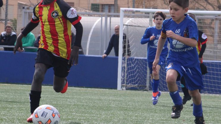 PREBENJAMÍN DIVISIÓN DE HONOR Ferriolense 1-Ciutat de Palma 1
