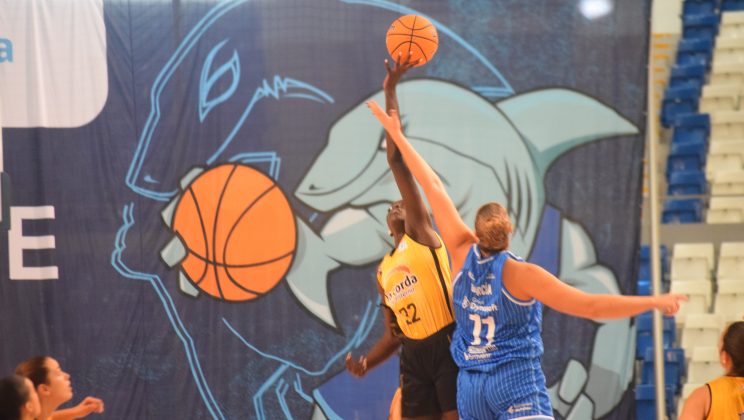 El Azul Marino Mallorca Palma dirigido por Antuña venció 88-46 a la Cordá de Paterna en su vuelta a Son Moix