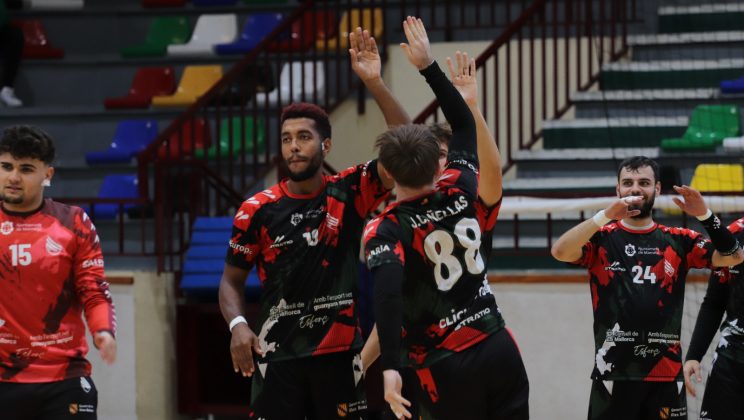 DOLOROSA DERROTA EN ELCHE BALONMANO ELCHE 33 VS HANDBOL MALLORCA 31