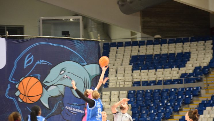 Un 78-54 para la historia del Azul Marino Mallorca Palma
