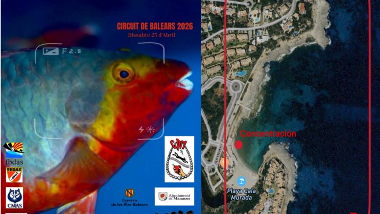 Caza-foto apnea, Club Perlas Manacor, 25 abril 2026