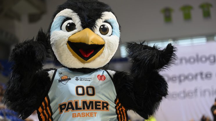 Nuevo album fotos del Palmer – Melilla