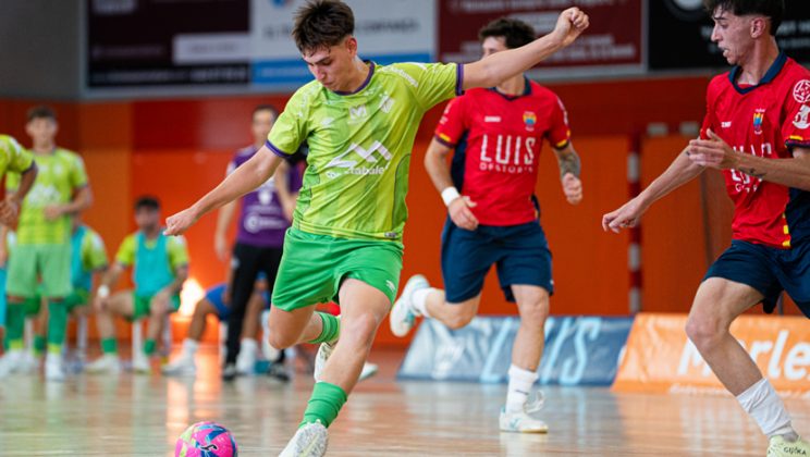El Illes Balears Palma Futsal B se queda a las puertas del ascenso (5-3)