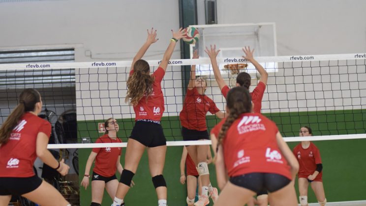 ABIERTO EL PLAZO DE INSCRIPCIÓN Y PUBLICADOS LOS CRITERIOS DE SELECCIÓN PARA EL CTEIB 2026/27