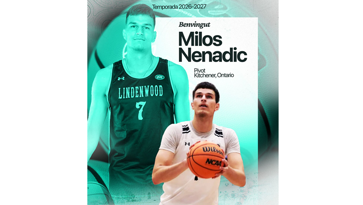 Milos Nenadic, autoridad en la zona para el Palmer Basket